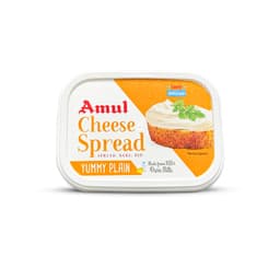 200 gms Cheese Spread Container with Lid view 2